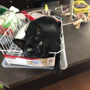 Meet your Posher, Duriel